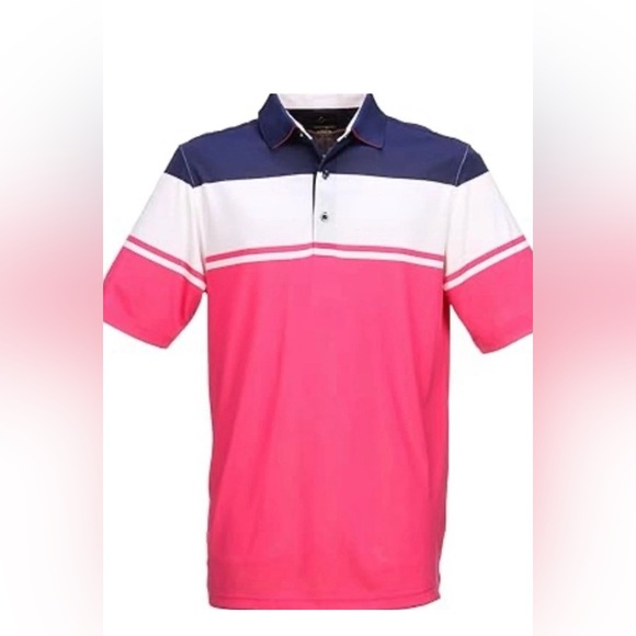 Greg Norman Collection Other - Greg Norman Collection Men's Denmark Stripe Polo Shirt